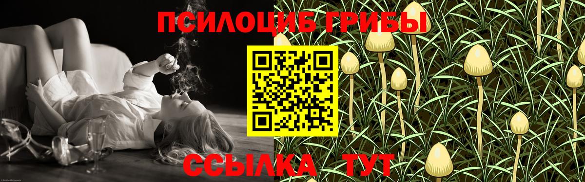 Псилоцибиновые грибы ЛСД Новоалтайск