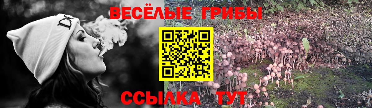 Каннабис Новоалтайск