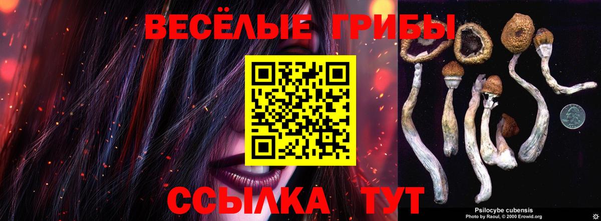 Новоалтайск  Псилоцибиновые грибы Cubensis  Галлюциногенные грибы Cubensis  закладки  Вход с VPN 